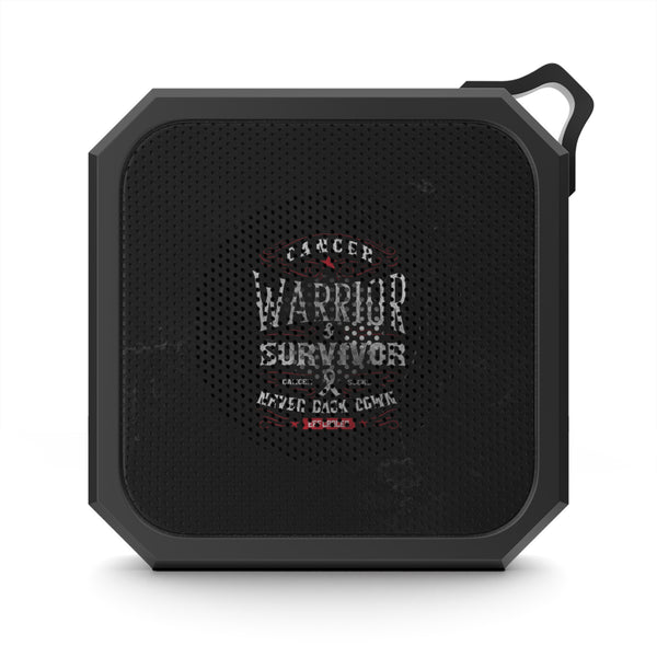 Vintage Warrior Outdoor Speaker