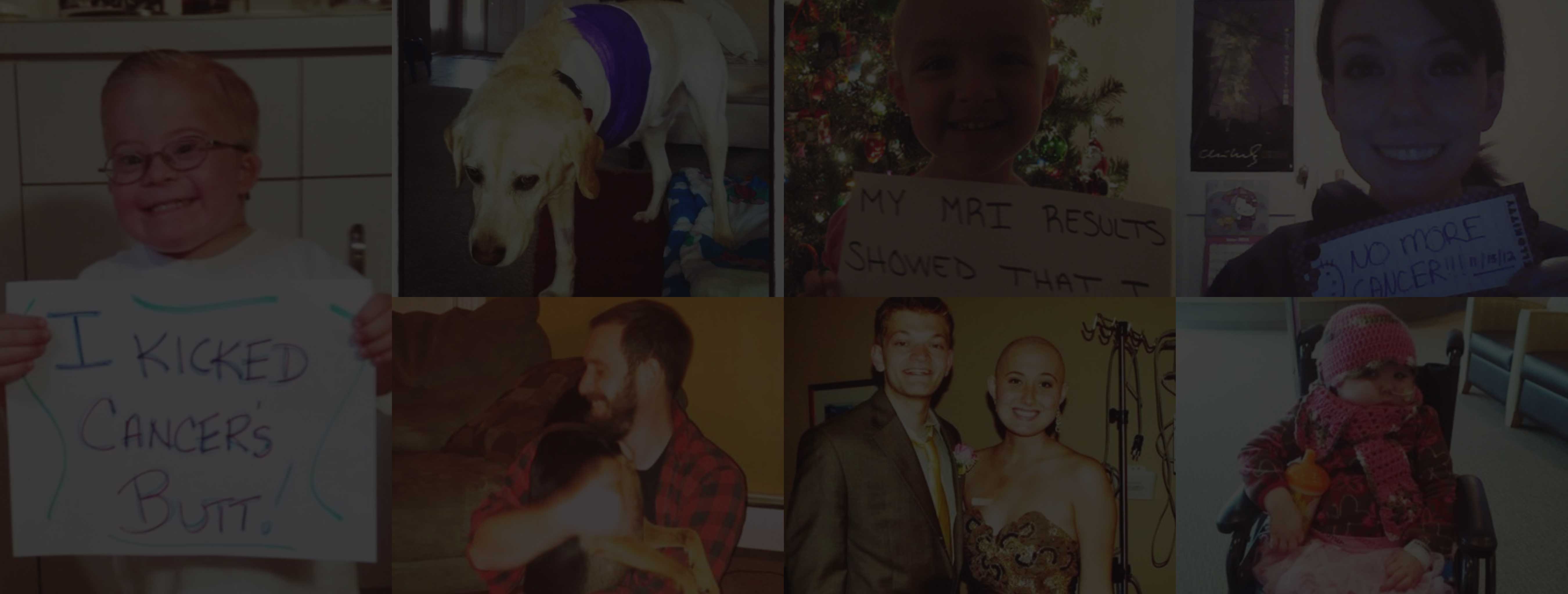 11 humans and 1 dog defeat cancer! You can't beat those smiles!