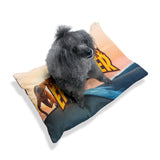 Thrashed Pet Bed