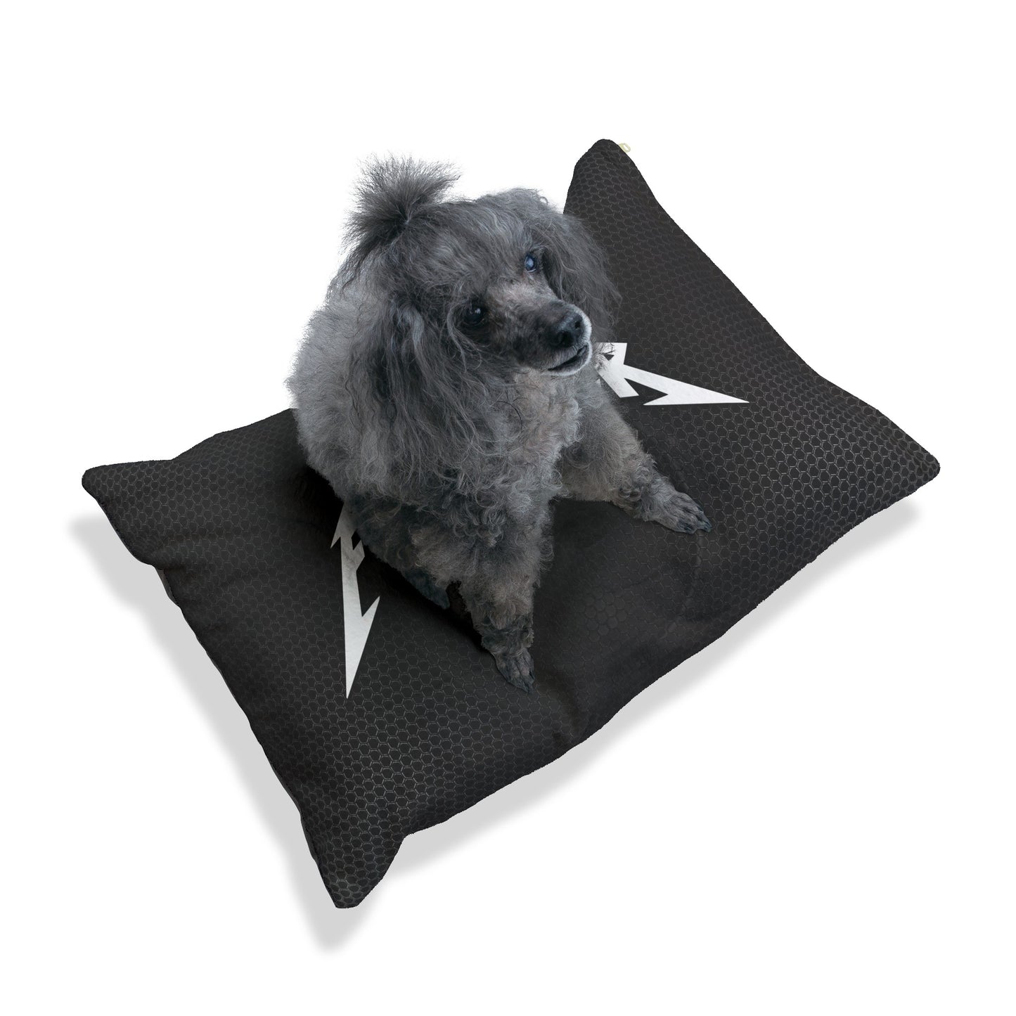 Metal Pet Bed
