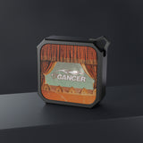 Synced Outdoor Speaker