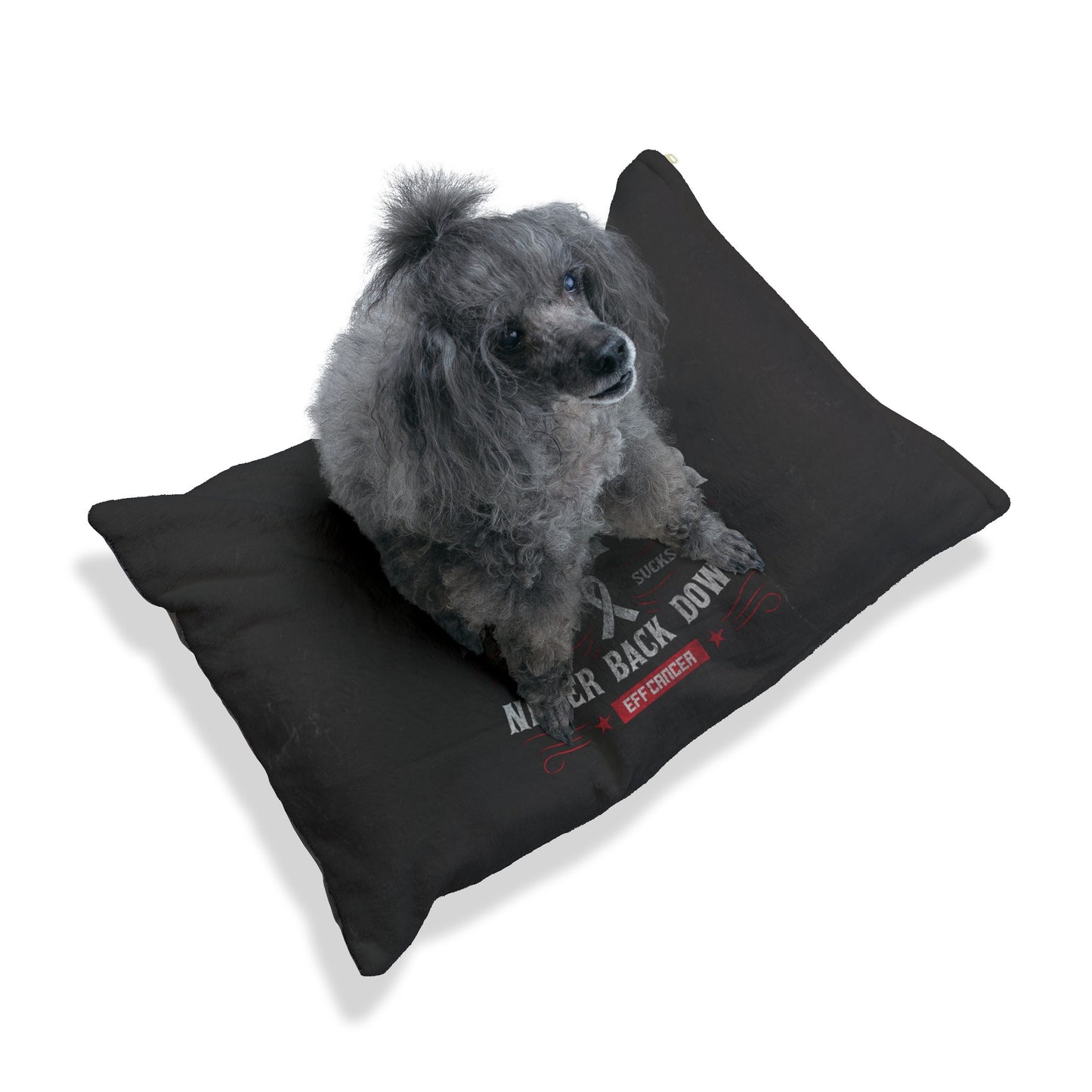 Vintage Warrior Pet Bed