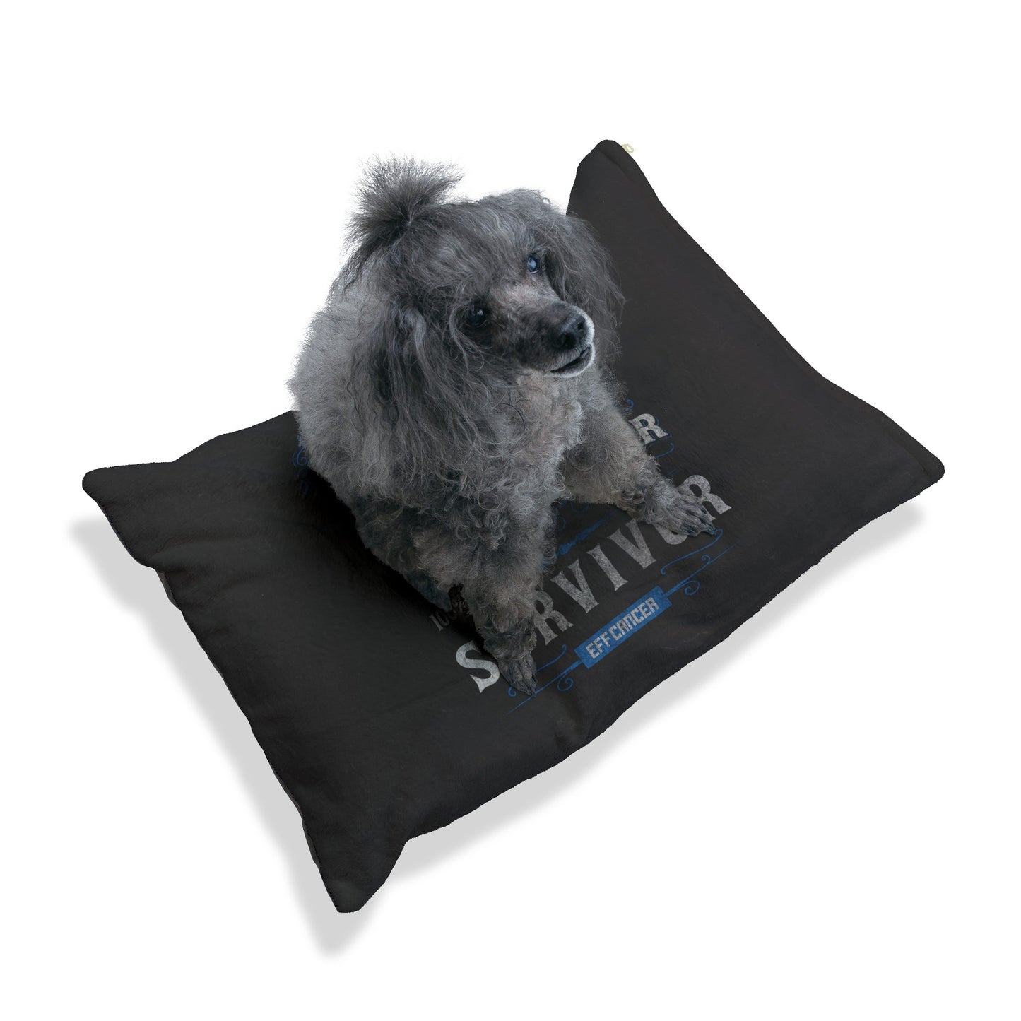 Vintage Stronger Pet Bed