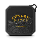 Coolish Outdoor Speaker