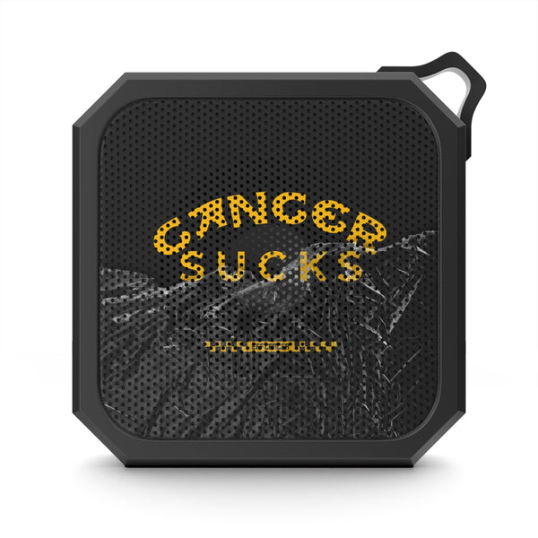 Coolish Outdoor Speaker
