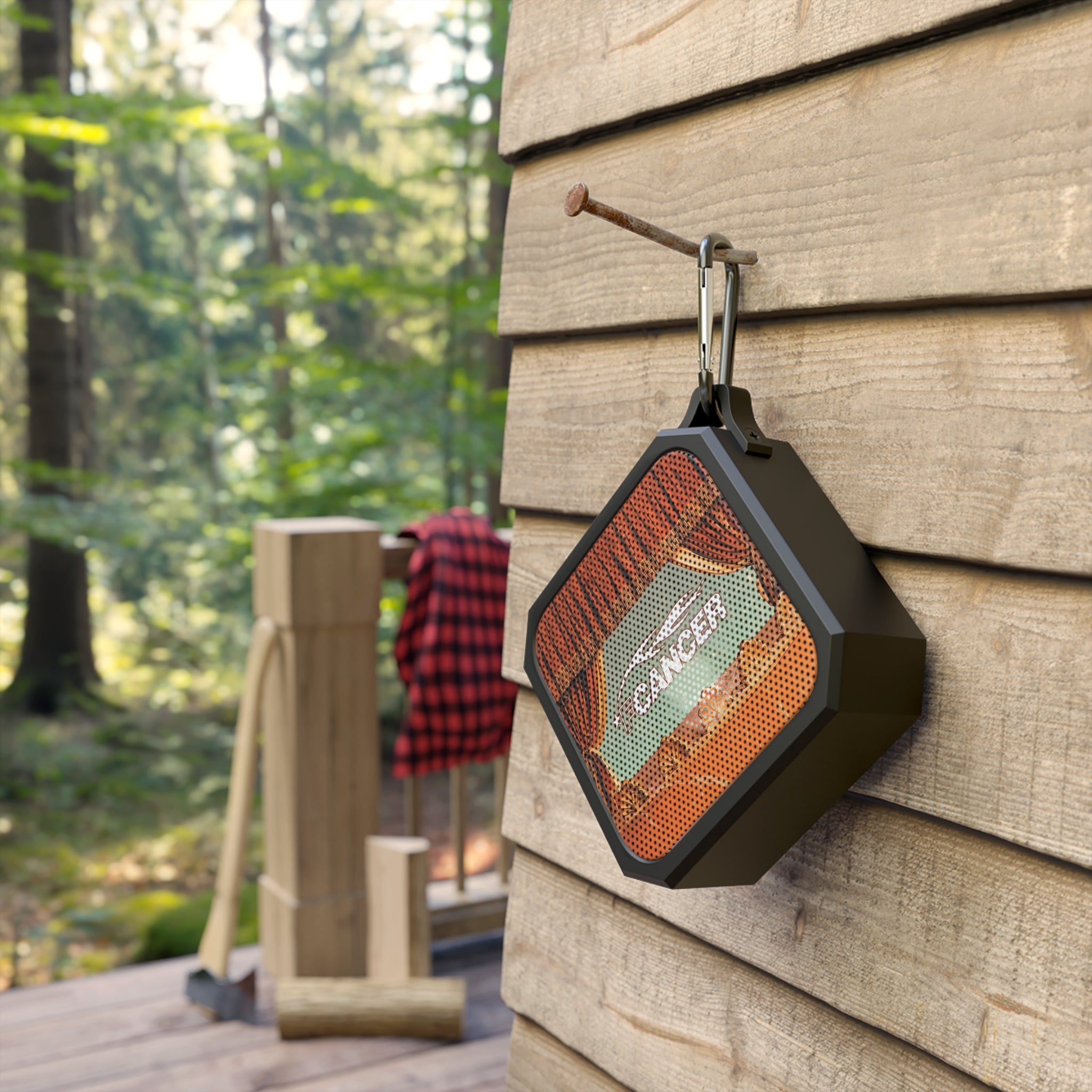 Synced Outdoor Speaker