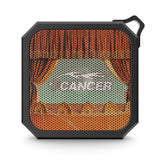Synced Outdoor Speaker