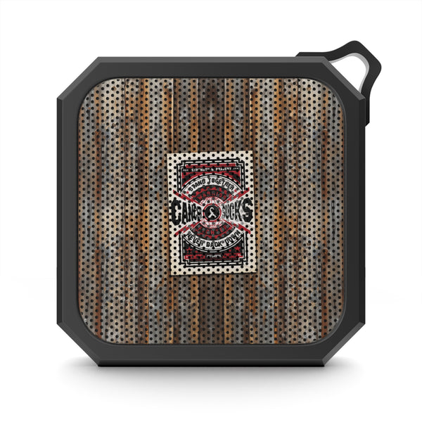 Cancer Sucks Street Outdoor Speaker