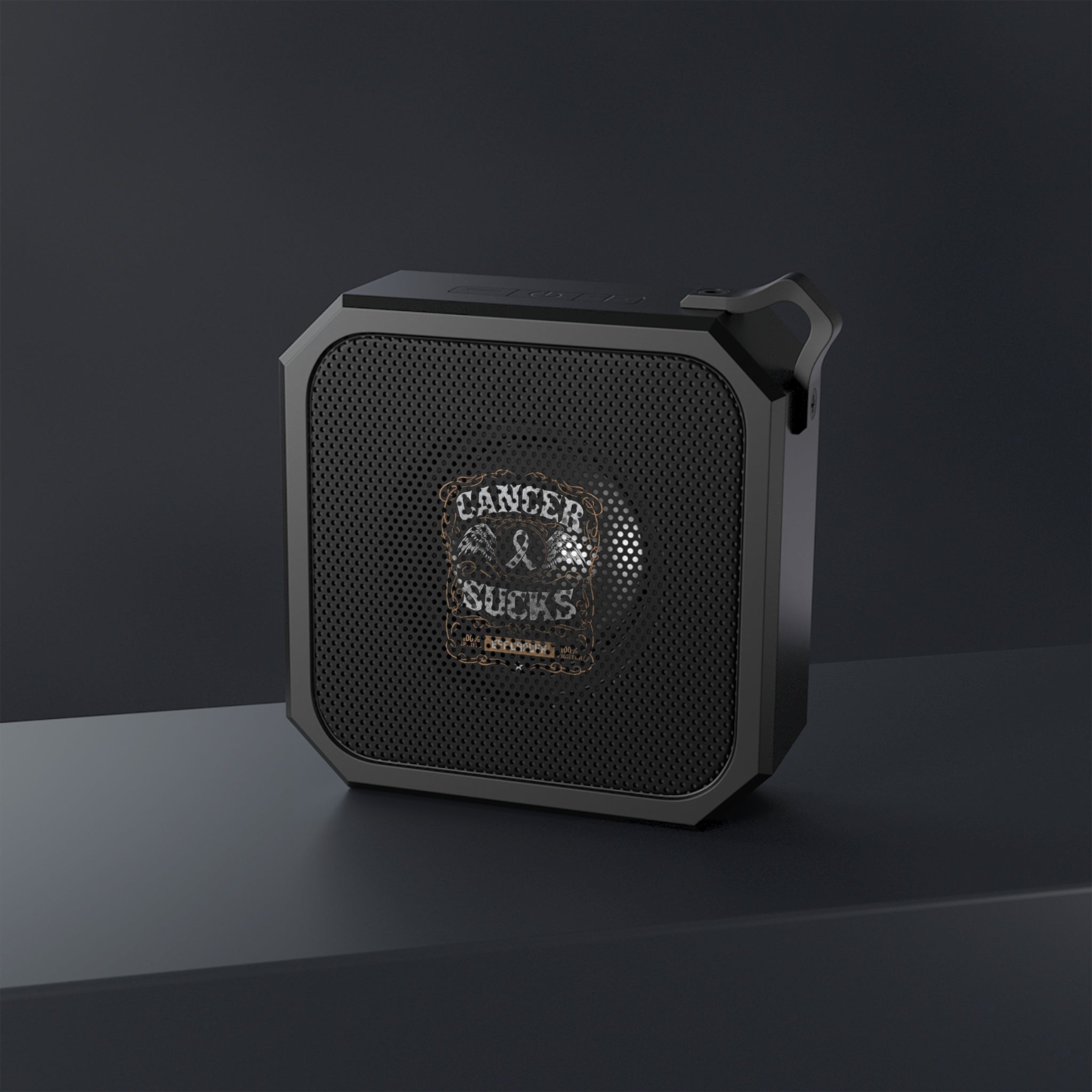 Vintage Sucks Outdoor Speaker