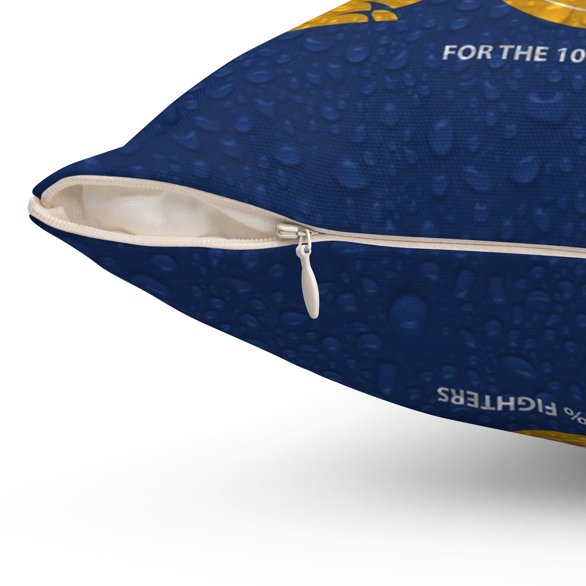 Cerveza Pillow