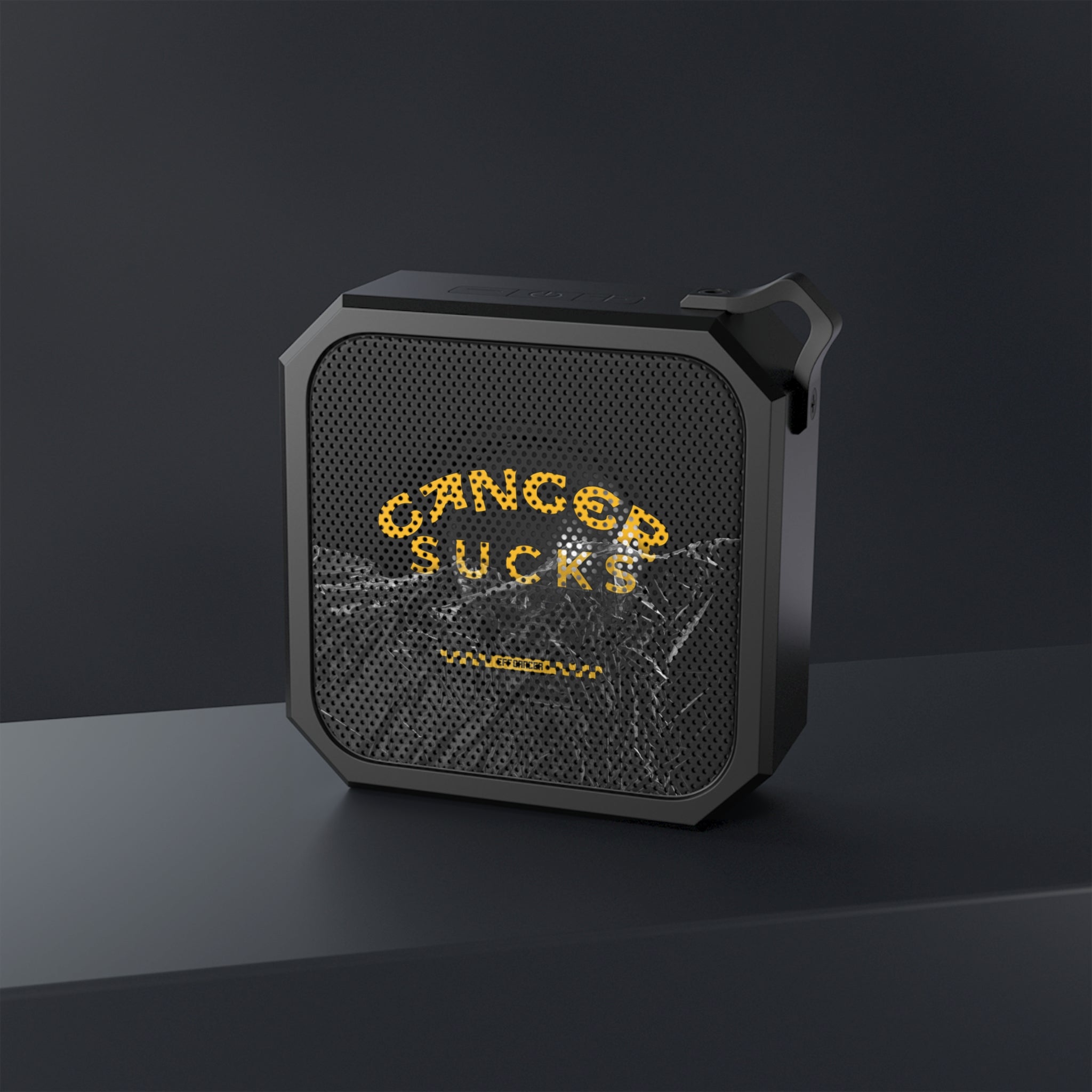 Coolish Outdoor Speaker